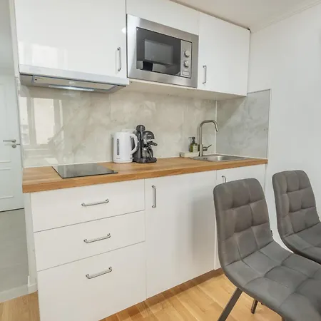 아파트 Homely I 28m2 Loft I Elevator I Self Check-in 프라하